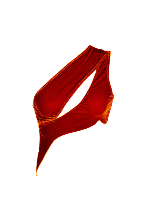 CARP IN BlOOD ORANGE